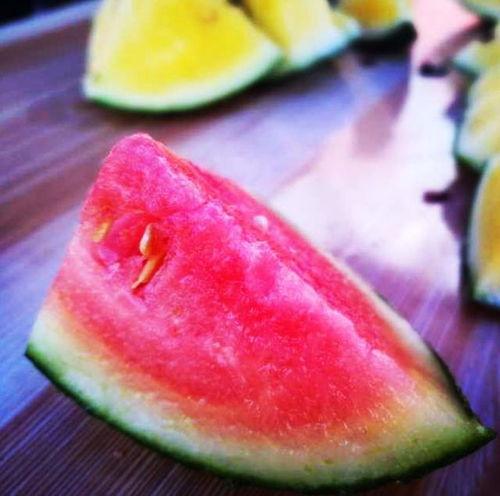 山东东城吃瓜,一场吃瓜盛宴背后的故事