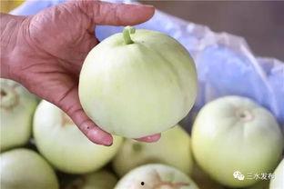 吃瓜必看价格地图,价格地图揭秘各地瓜果价格差异