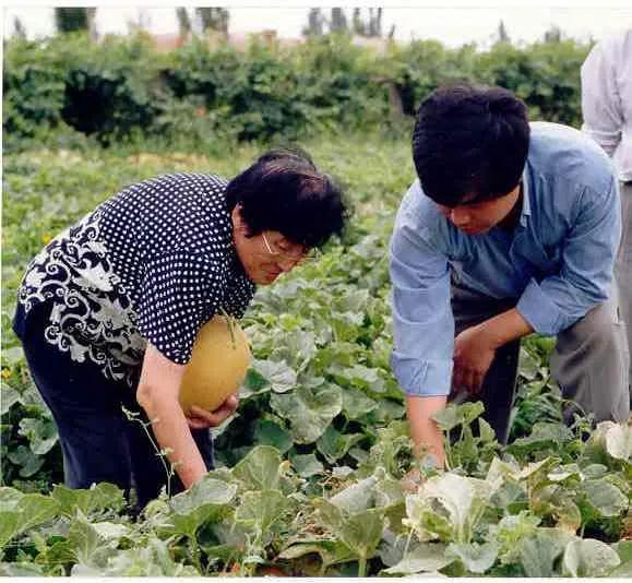 农村吃瓜八卦,揭秘乡村八卦风云