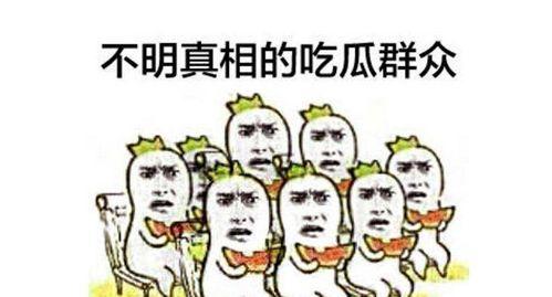 南疆吃瓜群众小说,吃瓜群众的欢乐生活画卷