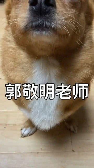 吃瓜卡住了短剧
