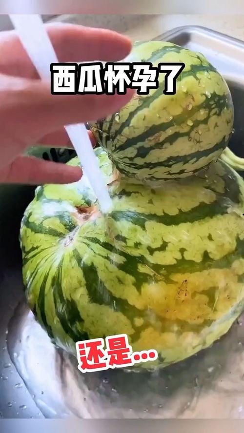 听瓜吃瓜配音视频,趣味横生的配音盛宴