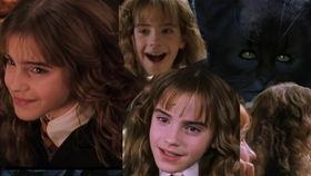 哈利吃大瓜视频