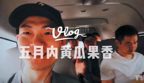 带你吃瓜吃货主播,跟随吃瓜吃货主播畅游味蕾世界